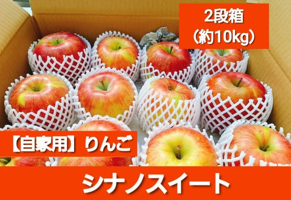 画像1: 【配送日指定不可！りんごが収穫出来たら発送！】オトクな自家用りんご　着日指定不可・送料無料！　シナノスイート　約5kg (1)