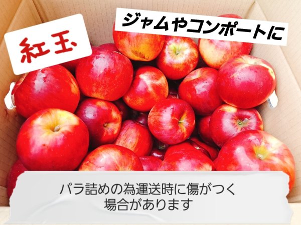 画像1: 加工用バラ詰めりんご　　送料無料！【紅玉】10kg (1)